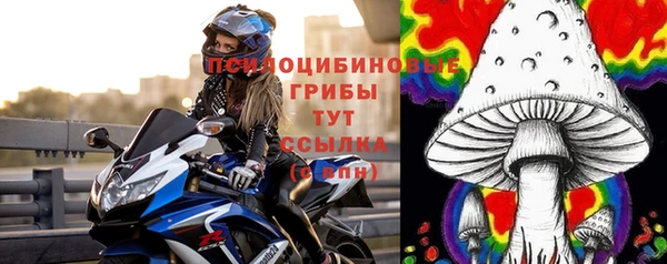 дживик Арсеньев