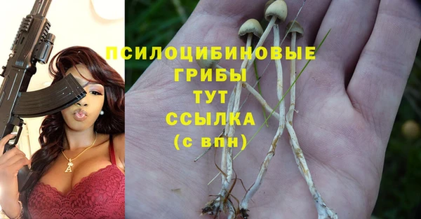 дживик Арсеньев