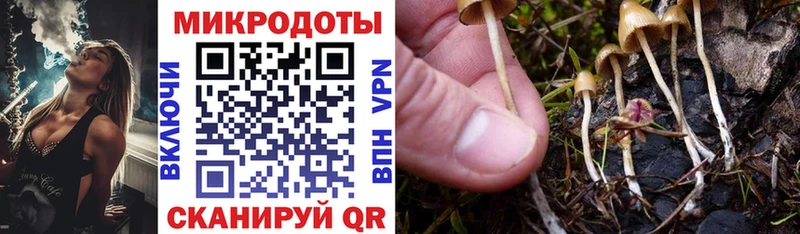 нарко площадка наркотические препараты  Афипский  Псилоцибиновые грибы Psilocybe  купить наркотики сайты 